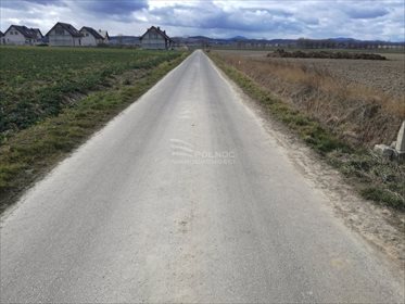 Działka rolna na sprzedaż Milikowice 19 400m2 Foto 4