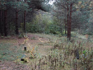 Działka rolna na sprzedaż Węgliska, Rakszawa 17 200m2 Foto 5
