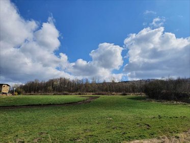 Działka budowlana 1525 m² z warunkami zabudowy. działka Walim, Olszyniec