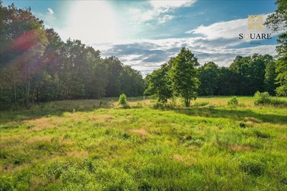 działka na sprzedaż 7211m2 działka Wiązowna, Wiązowna Kościelna, Stefana Bryły