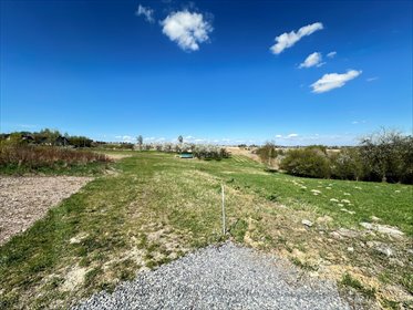 działka na sprzedaż 883m2 działka Owczary, Ogrodowa