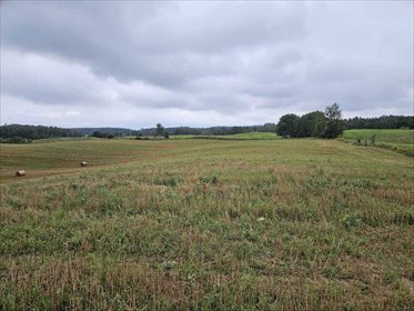 Działka rolna 29 875 m² w Jora Wielka - polecam! działka Jora Wielka