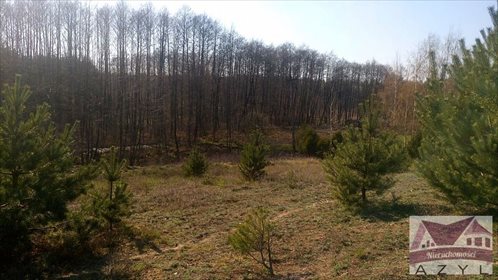 Działka rolna na sprzedaż Lubcza 5 000m2 Foto 1