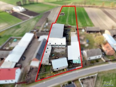 lokal użytkowy na sprzedaż 823m2 lokal użytkowy Wojciechowo