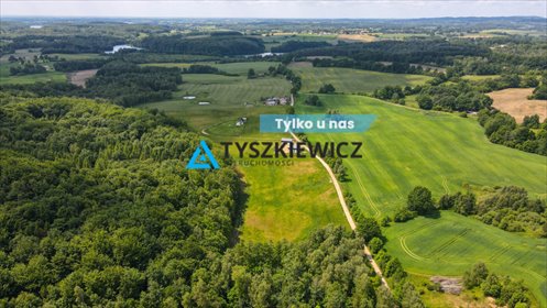 działka na sprzedaż 18126m2 działka Trzepowo, Witosławy