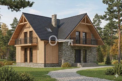 Działka inwestycyjna 3000 m² pod zabudowę w Czapielsku. działka Czapielsk, Jarzębinowa
