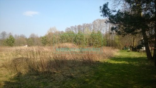 działka na sprzedaż 13200m2 działka Książenice