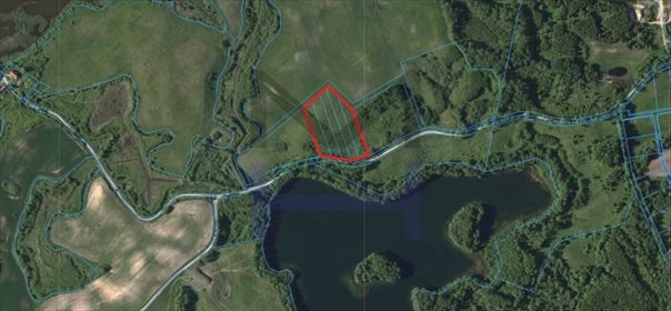 Działka budowlana na sprzedaż Siedliska 2 727m2 Foto 3