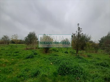 Działka inwestycyjna 1,57 ha w Brwinowie z mediami działka Brwinów