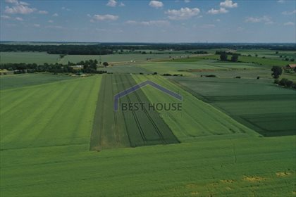 Działka przemysłowo-handlowa na sprzedaż Kurów 23 400m2 Foto 2