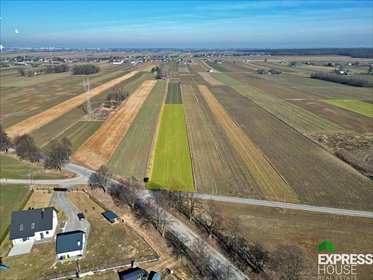 działka na sprzedaż 3971m2 działka Wilczopole-Kolonia, Żurawinowa