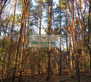 Działka 2100 m² pod zabudowę w Sękocin-Las z lasem działka Sękocin-Las