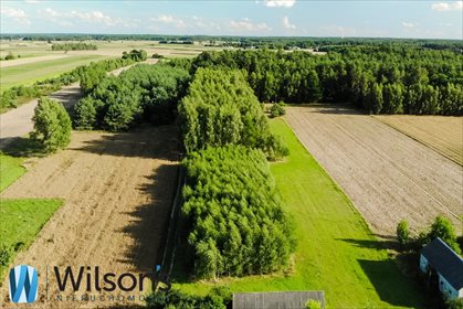 Działka budowlana na sprzedaż Dębe 9 800m2 Foto 5