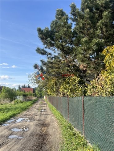 działka na sprzedaż 1352m2 działka Stara Iwiczna
