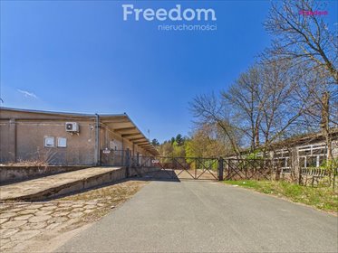 Hala 1000 m² z rampami i biurami, dojazd ciężarówkami magazyn Radom, Potkanów