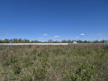 działka na wynajem 8307m2 działka Warszawa, Białołęka, Daniszewska