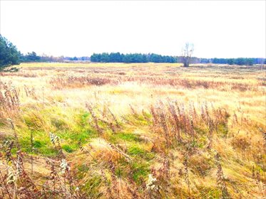 Działka przemysłowo-handlowa pod dzierżawę Cząstków Polski 2 500m2 Foto 3
