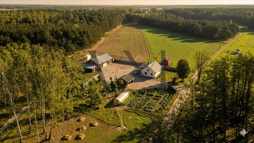 Polecam urokliwe siedlisko z domem i domkiem gości 56 m² w Zabagnie dom Zabagnie