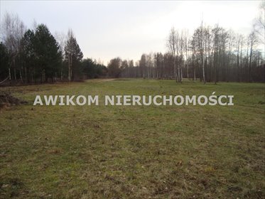 Polecam działkę rolną z warunkami zabudowy, media, 60 km od Warszawy działka Kromnów
