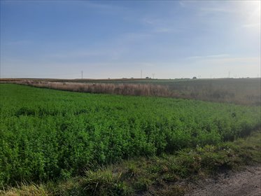działka na sprzedaż 1532m2 działka Głogowo