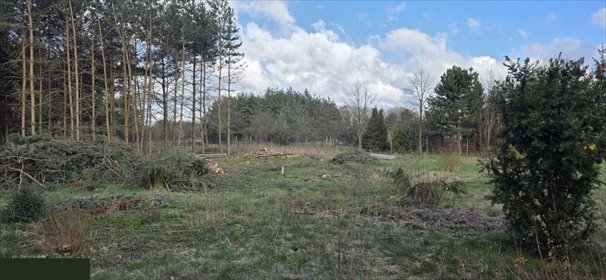 Działka budowlana na sprzedaż Zawiercie, Winna 1 007m2 Foto 3