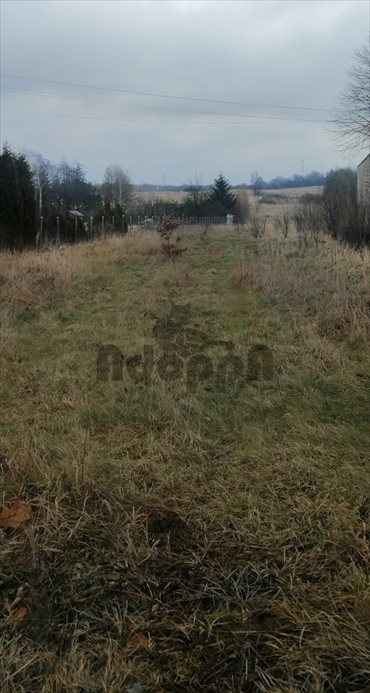 Działka budowlana na sprzedaż Myszków, Będusz 2 559m2 Foto 1
