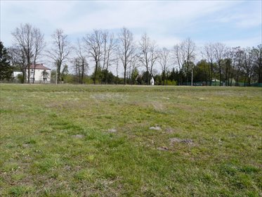 Działka budowlana na sprzedaż Zalesie 5 864m2 Foto 3