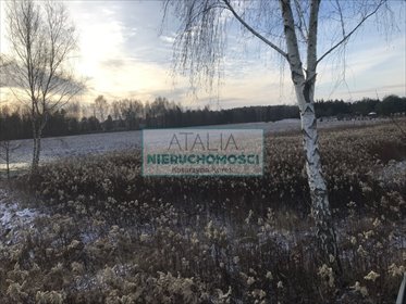 Działka 9830 m² z MPZP, media, możliwość podziału działka Strzeniówka