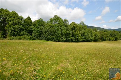Do sprzedania działka pod zabudowę 1504 m² w Pisarzowej działka Pisarzowa