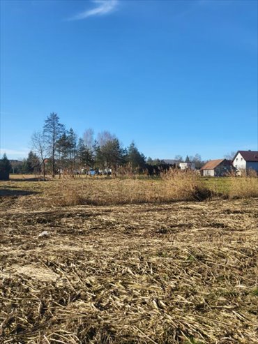 Działka budowlana na sprzedaż Zagacie 1 500m2 Foto 2