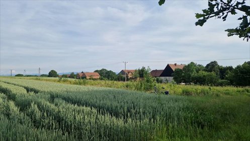 działka na sprzedaż 1900m2 działka Siekierczyn