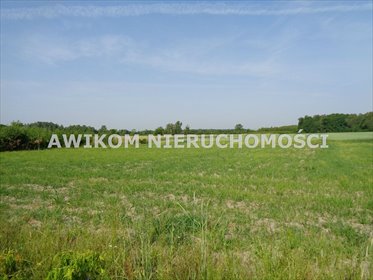 działka na sprzedaż 36730m2 działka Jastrzębnik
