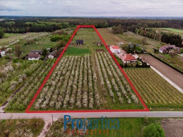 działka na sprzedaż 47200m2 działka Kocerany, Nowy Trakt