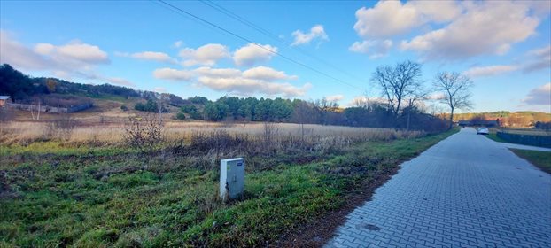 Działka rolna na sprzedaż Bliżów 18 700m2 Foto 7