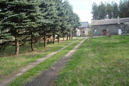 lokal użytkowy na sprzedaż 126m2 lokal użytkowy Lasek