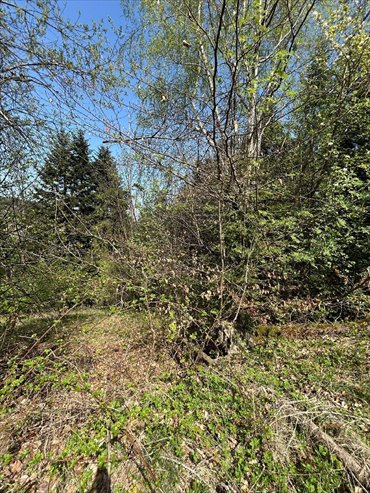 Polecam działkę 873 m² z dostępem do dróg asfaltowych działka Wadowice