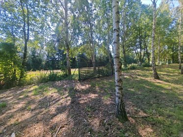 Sprzedam działkę 4289 m² w Madajce - idealna na rekreację działka Madajka