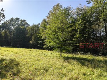 Sprzedam działkę 6000 m² w Radoniu z możliwością rezydencji działka Radonie