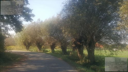 działka na sprzedaż 4618m2 działka Kampinos, Strojec