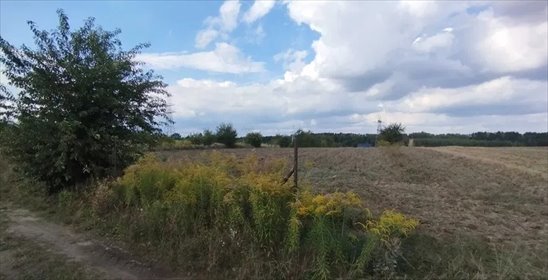 działka na sprzedaż 1000m2 działka Rosanów