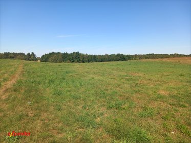 działka na sprzedaż 3200m2 działka Rojewo