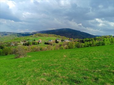 działka na sprzedaż 1200m2 działka Walim