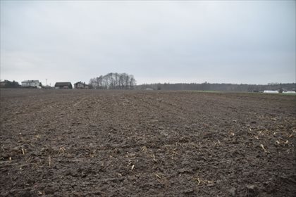 Działka budowlana na sprzedaż Łuków Śląski 3 750m2 Foto 5