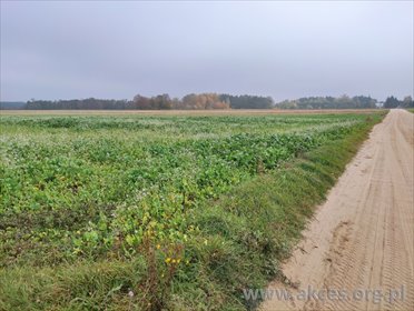 działka na sprzedaż 3000m2 działka Szumlin