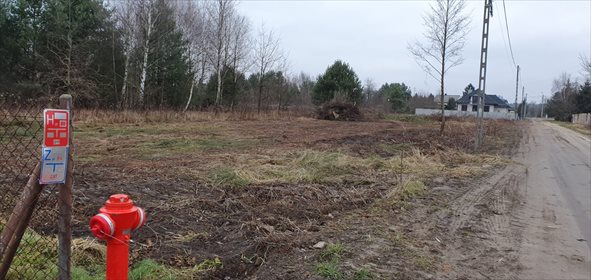Działka budowlana na sprzedaż Izabela, ul.Zorzy od ul.Postępu, 1 313m2 Foto 3