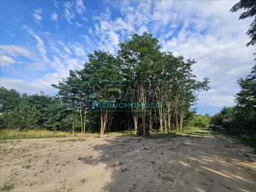działka na sprzedaż 1000m2 działka Musuły