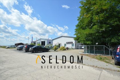 magazyn na sprzedaż 1400m2 magazyn Stare Siołkowice