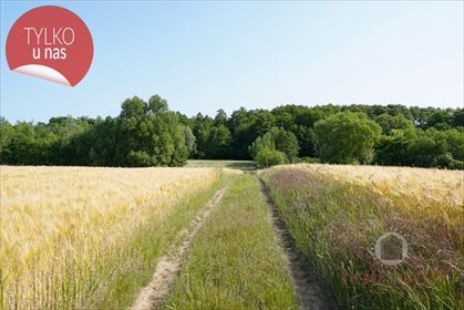 działka na sprzedaż 14822m2 działka Kłodawa