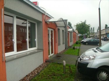 lokal użytkowy na wynajem 246m2 lokal użytkowy Łódź