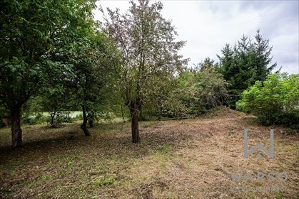 Działka budowlana na sprzedaż Gostynin, Bierzewice, Kutnowska 10 070m2 Foto 6